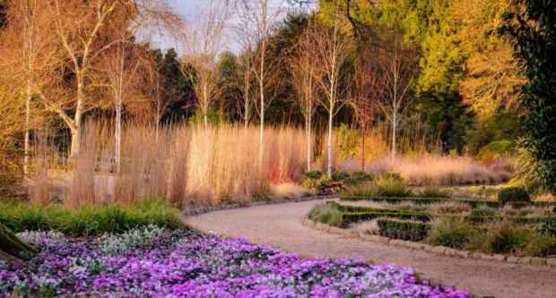 Winter Garden at Wakehurst, West Sussex